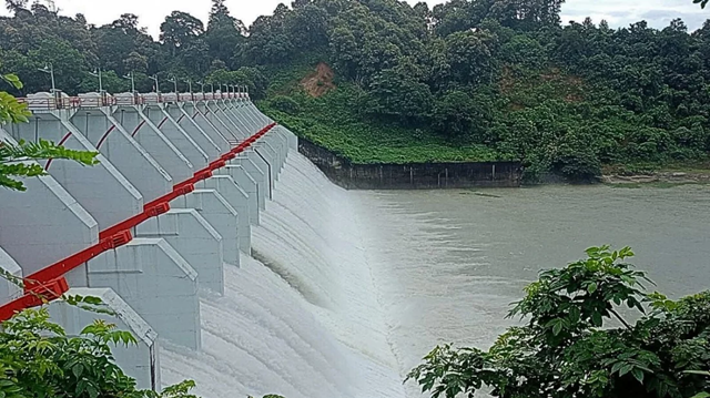 ছবি সংগৃহীত