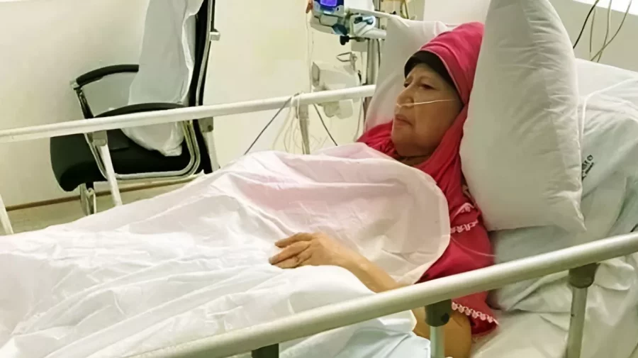 ফাইল ছবি