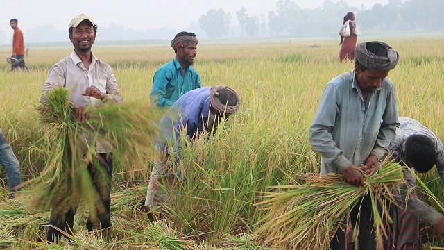 ছবি- সংগৃহীত