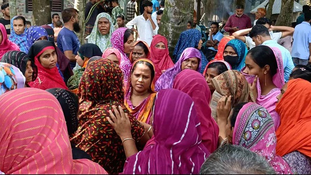 মাছ ধরতে যেয়ে সাপের কামড়ে যুবকের মৃত্যু