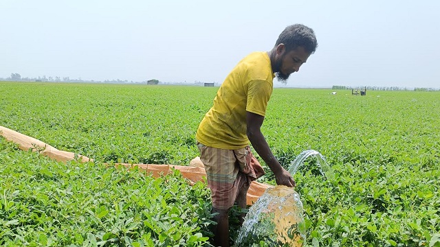 ছবি- সংগৃহীত