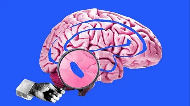 ছবি সংগৃহীত