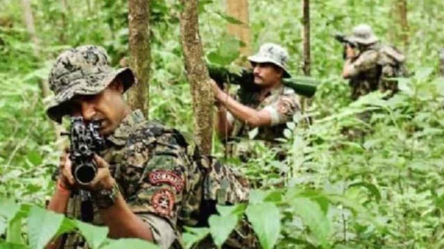 ছবি সংগৃহীত