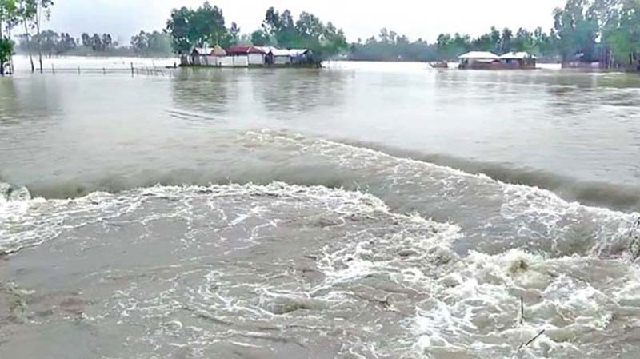 বৃদ্ধি পেয়েছে যমুনা নদীর পানি