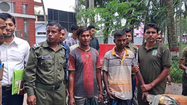ছবি সংগৃহীত