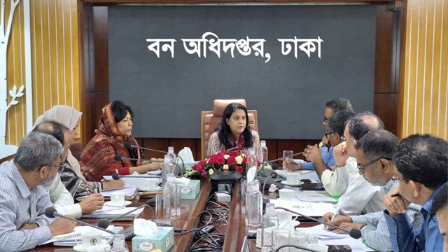 ছবি সংগৃহীত