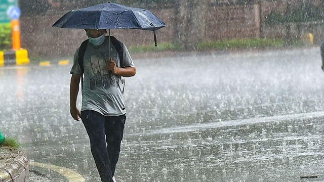 ছবি সংগৃহীত