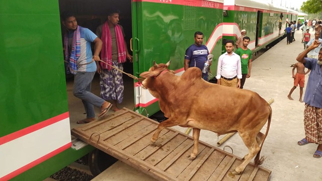 ছবি সংগৃহীত