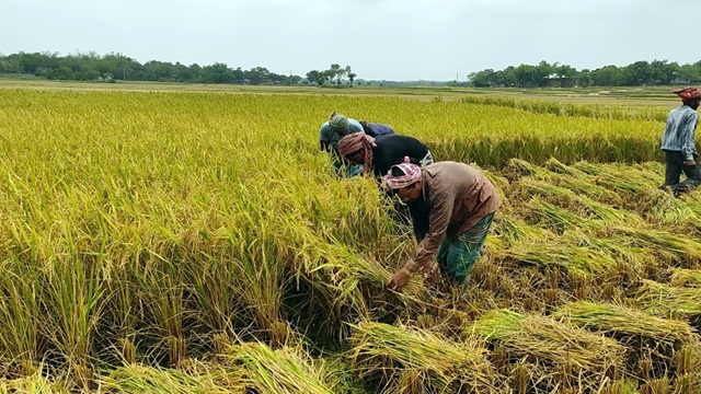 ছবি সংগৃহীত