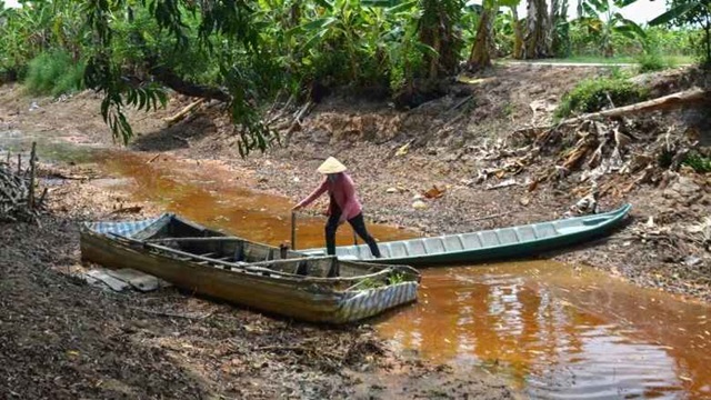 ছবি-সংগৃহীত