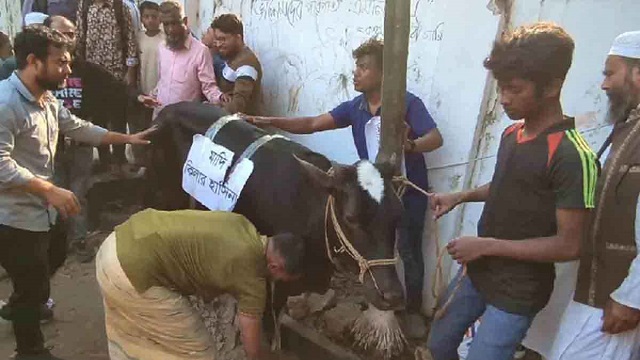 গরু চোরাচালানের অভিযোগে হরিয়ানায় দুই মুসলিমকে পুড়িয়ে হত্যা