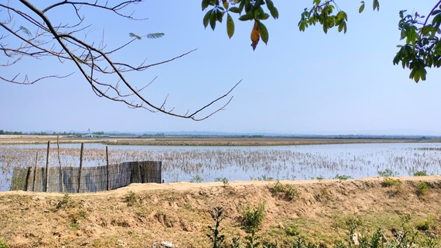 টেকনাফ সীমান্তে ফের গোলাগুলির শব্দ