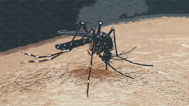 ছবি ‍সংগৃহিত