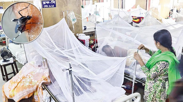ডেঙ্গুতে মৃত্যু ৯০০ ছাড়াল, হাসপাতালে ৩০০৮