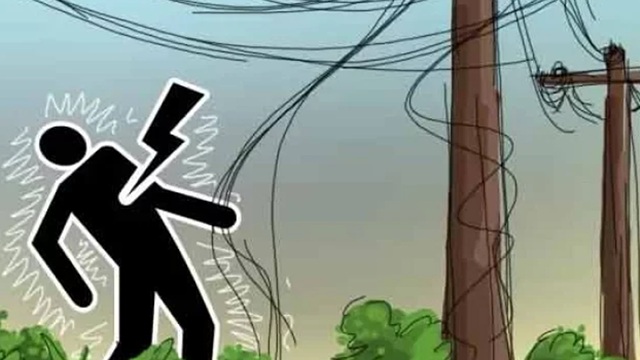 ছবি : সংগৃহীত