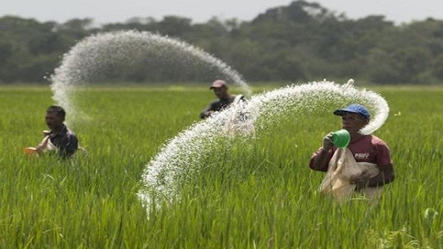 ৬৩৭ কোটি ২৩ লাখ টাকার সার কিনছে সরকার