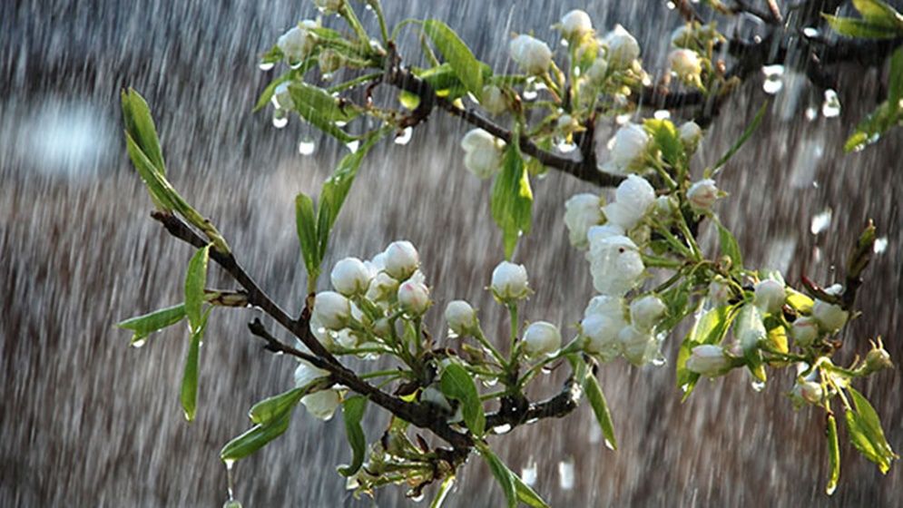 ছবি ‍: সংগৃহীত