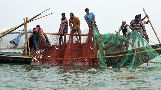 ছবি সংগৃহীত 