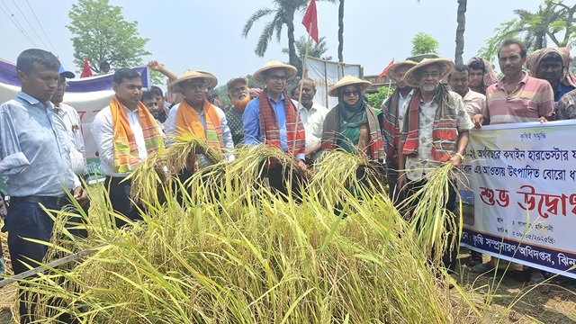 ছবি সংগৃহীত