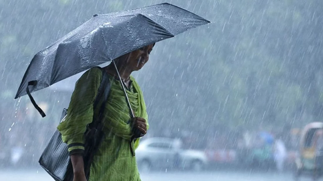 ছবি সংগৃহীত