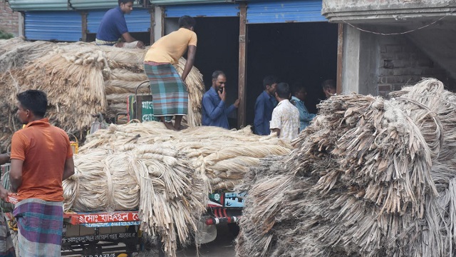 এক মণ পাট বিক্রি করেও মিলছে না এক কেজি ইলিশ