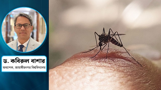 এডিস মশার ঘনত্ব বাড়ছে, আসন্ন বিপদ ঠেকাবে কে?