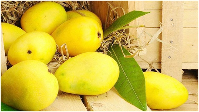 ছবি সংগৃহীত