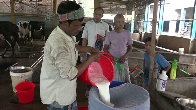 পিরিয়ডের সময়ে হলুদ মেশানো দুধ খাওয়ার ৫ উপকারিতা