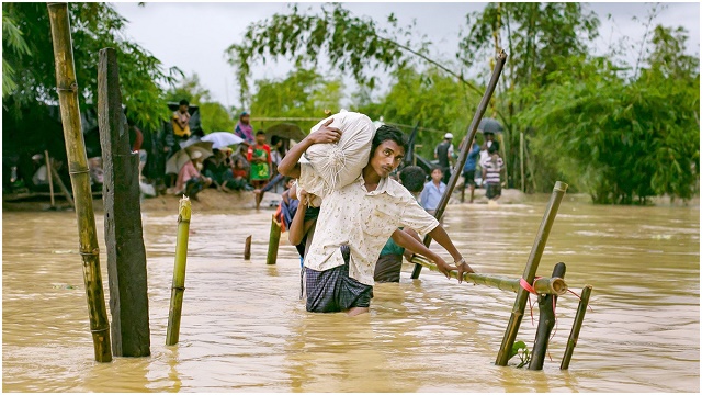 ফাইল ছবি