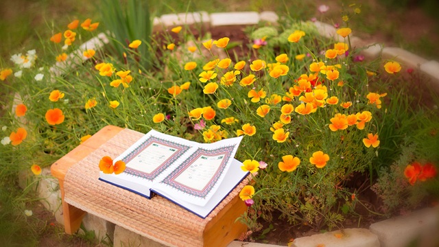 প্রতীকী ছবি