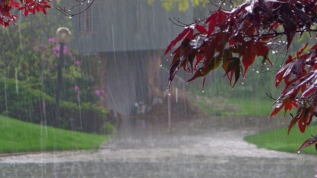 বৃষ্টি আইনে হেরে সিরিজ ড্র করল বাংলাদেশ