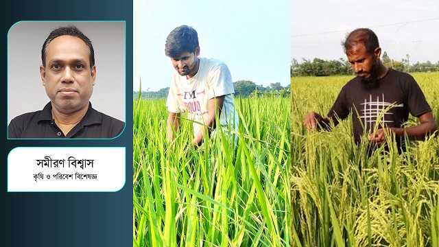 ছবি সংগৃহীত