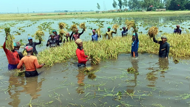ছবি সংগৃহীত