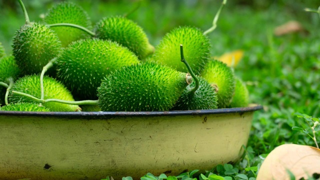 ছবি সংগৃহীত