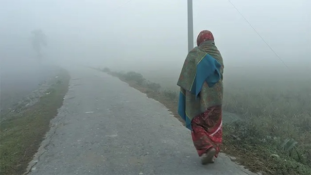 ফাইল ছবি