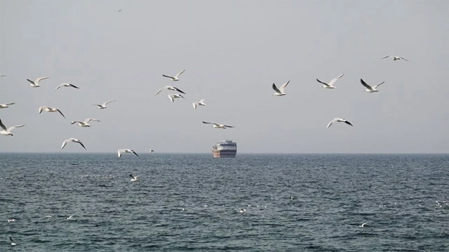 হরমুজ প্রণালী খোলা, তবে সবার জন্য নয় : ইরান