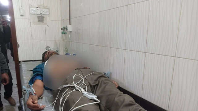 ফাইল ছবি