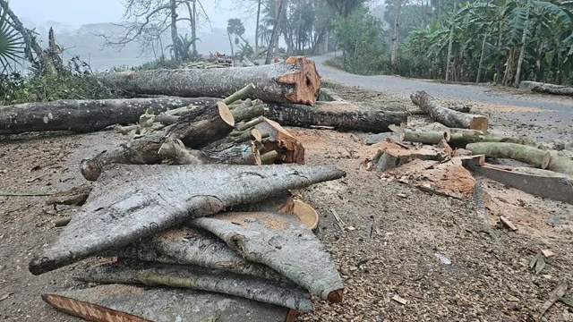 ফাইল ছবি