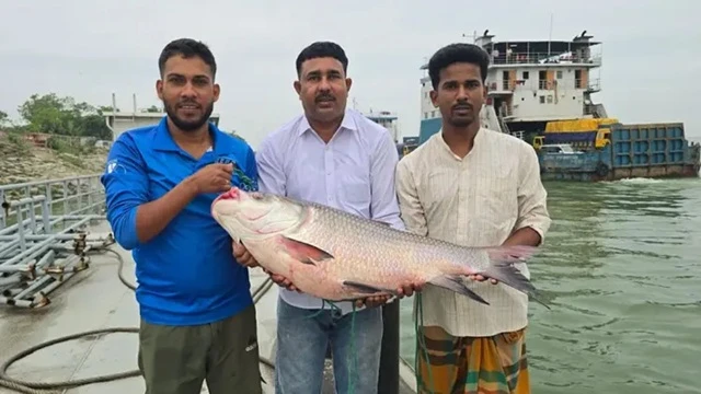 ছবি : সংগৃহীত