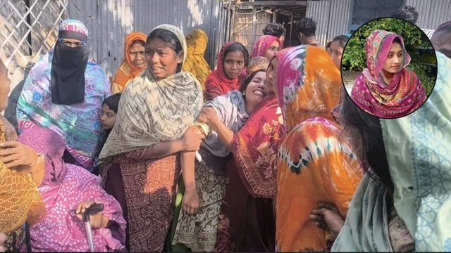 ফাইল ছবি