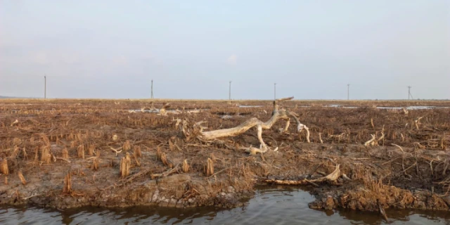 ছবি ‍: সংগৃহীত