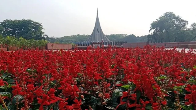 ছবি : সংগৃহীত