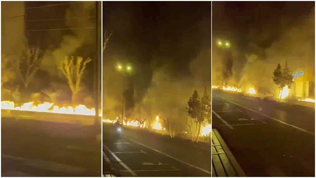 ফাইল ছবি