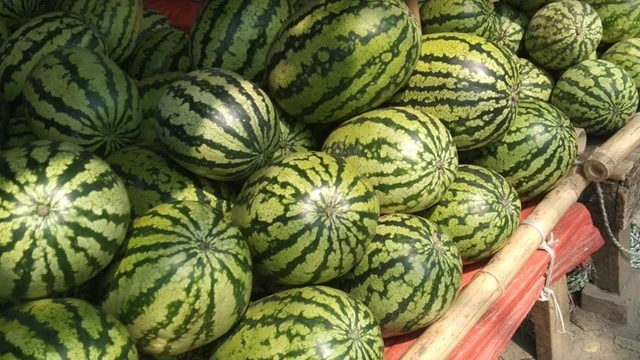 ৯০ টাকা কেজি তরমুজের ক্রেতা-বিক্রেতা দুটোই কম বাজারে